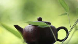 green-tea-hu