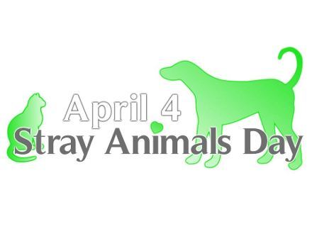 World_Stray_Animals_Day