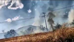 Ανατ.Φθιώτιδα: Πυρκαγιά σε αγροτική έκταση (βίντεο)